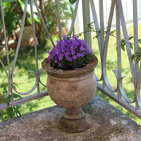 아파트 Studio-apartment Im Mediterranem Steinhaus Und Grosser Terrasse